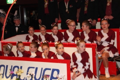 pronk_2012_10
