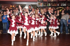 pronk_2012_12