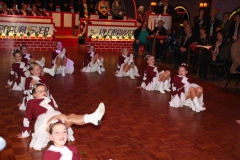 pronk_2012_13