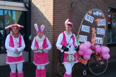 optocht_2013_2