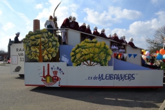 optocht_2014_23