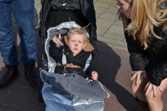 optocht_2014_27