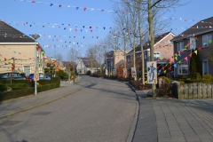 optocht_2015_106